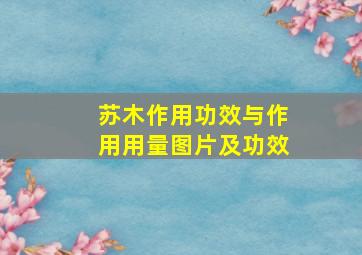 苏木作用功效与作用用量图片及功效