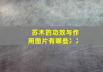 苏木的功效与作用图片有哪些冫冫