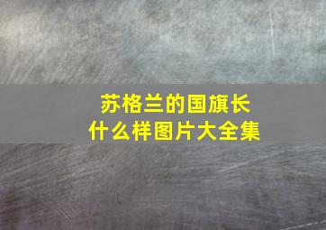 苏格兰的国旗长什么样图片大全集