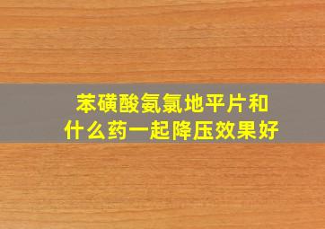 苯磺酸氨氯地平片和什么药一起降压效果好