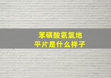 苯磺酸氨氯地平片是什么样子