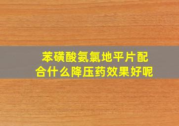 苯磺酸氨氯地平片配合什么降压药效果好呢