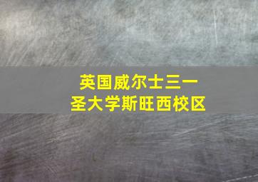 英国威尔士三一圣大学斯旺西校区