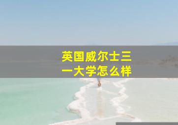 英国威尔士三一大学怎么样