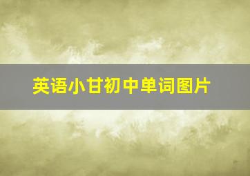 英语小甘初中单词图片