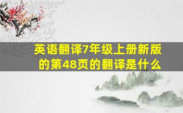 英语翻译7年级上册新版的第48页的翻译是什么