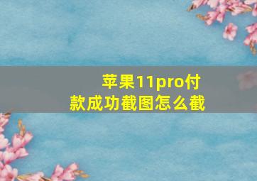 苹果11pro付款成功截图怎么截