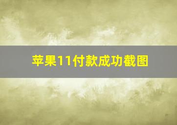 苹果11付款成功截图