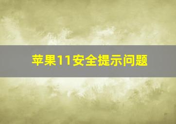 苹果11安全提示问题