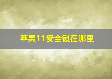 苹果11安全锁在哪里