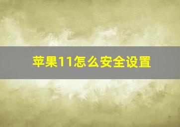 苹果11怎么安全设置