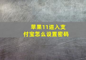 苹果11进入支付宝怎么设置密码