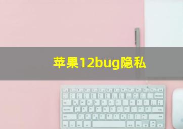 苹果12bug隐私