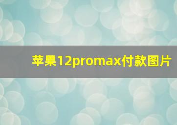 苹果12promax付款图片