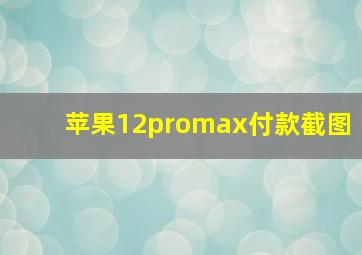 苹果12promax付款截图