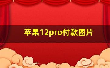 苹果12pro付款图片