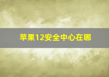 苹果12安全中心在哪