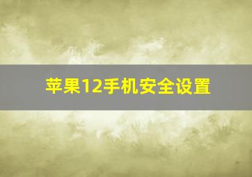 苹果12手机安全设置