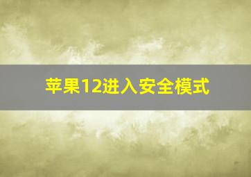 苹果12进入安全模式