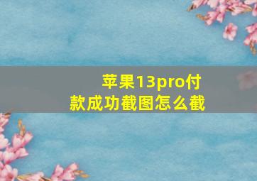 苹果13pro付款成功截图怎么截