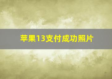 苹果13支付成功照片