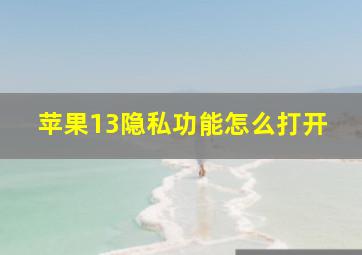 苹果13隐私功能怎么打开