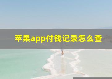 苹果app付钱记录怎么查