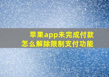 苹果app未完成付款怎么解除限制支付功能