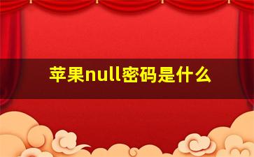 苹果null密码是什么