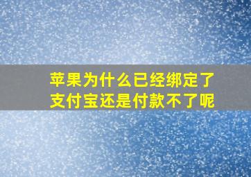 苹果为什么已经绑定了支付宝还是付款不了呢