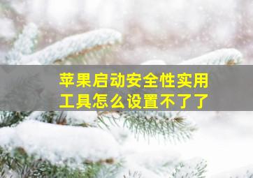 苹果启动安全性实用工具怎么设置不了了