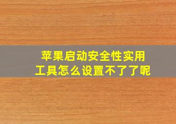 苹果启动安全性实用工具怎么设置不了了呢