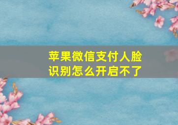 苹果微信支付人脸识别怎么开启不了