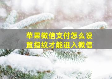 苹果微信支付怎么设置指纹才能进入微信