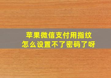 苹果微信支付用指纹怎么设置不了密码了呀