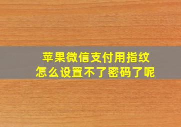 苹果微信支付用指纹怎么设置不了密码了呢