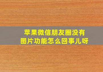 苹果微信朋友圈没有图片功能怎么回事儿呀