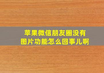 苹果微信朋友圈没有图片功能怎么回事儿啊