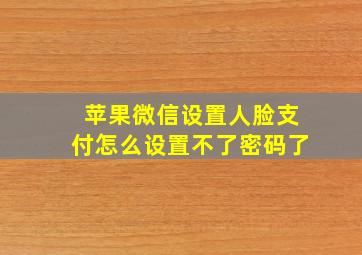 苹果微信设置人脸支付怎么设置不了密码了