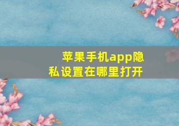 苹果手机app隐私设置在哪里打开