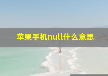 苹果手机null什么意思