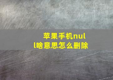 苹果手机null啥意思怎么删除