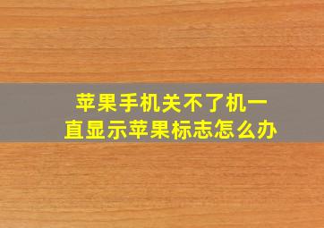 苹果手机关不了机一直显示苹果标志怎么办