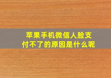 苹果手机微信人脸支付不了的原因是什么呢