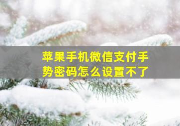 苹果手机微信支付手势密码怎么设置不了