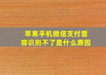 苹果手机微信支付面容识别不了是什么原因