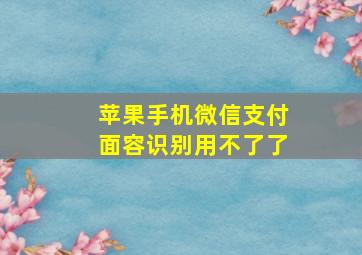 苹果手机微信支付面容识别用不了了