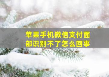 苹果手机微信支付面部识别不了怎么回事