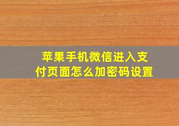 苹果手机微信进入支付页面怎么加密码设置