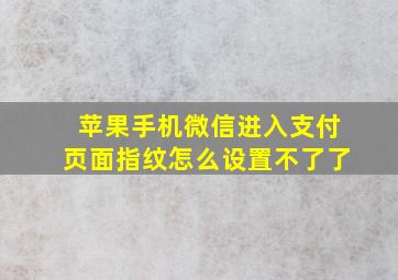 苹果手机微信进入支付页面指纹怎么设置不了了